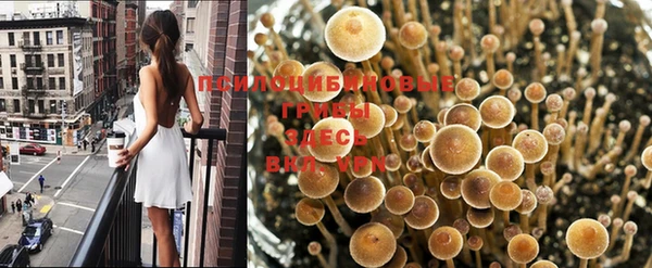 мяу мяу мука Белокуриха