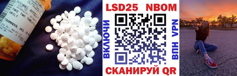 Купить закладки  Приозерск  LSD-25 экстази ecstasy 