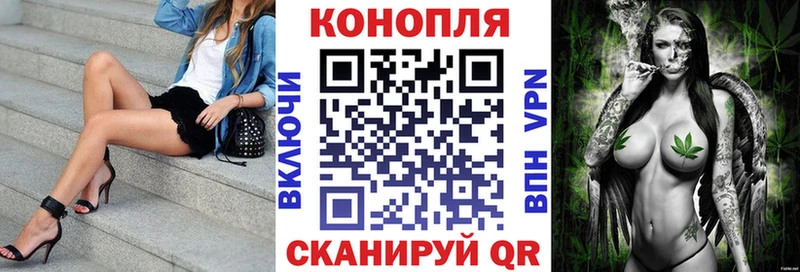 Каннабис ГИДРОПОН  Купить закладки  Приозерск 